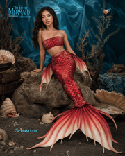 Sebastian Mermaid Tail – The Little Mermaid Inspired Collection