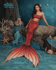 Sebastian Mermaid Tail – The Little Mermaid Inspired Collection