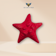 Starfish Dive Weight 1 kg / 2.2 lbs
