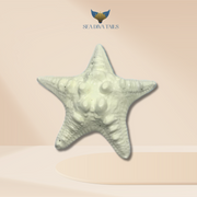 Starfish Dive Weight 1 kg / 2.2 lbs