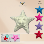 Starfish Dive Weight 1 kg / 2.2 lbs