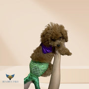Dog - Cat Mermaid Costume