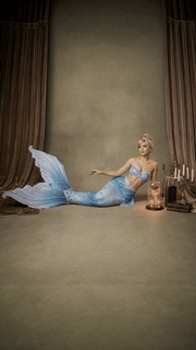 Cinderella Mermaid Tail Collection