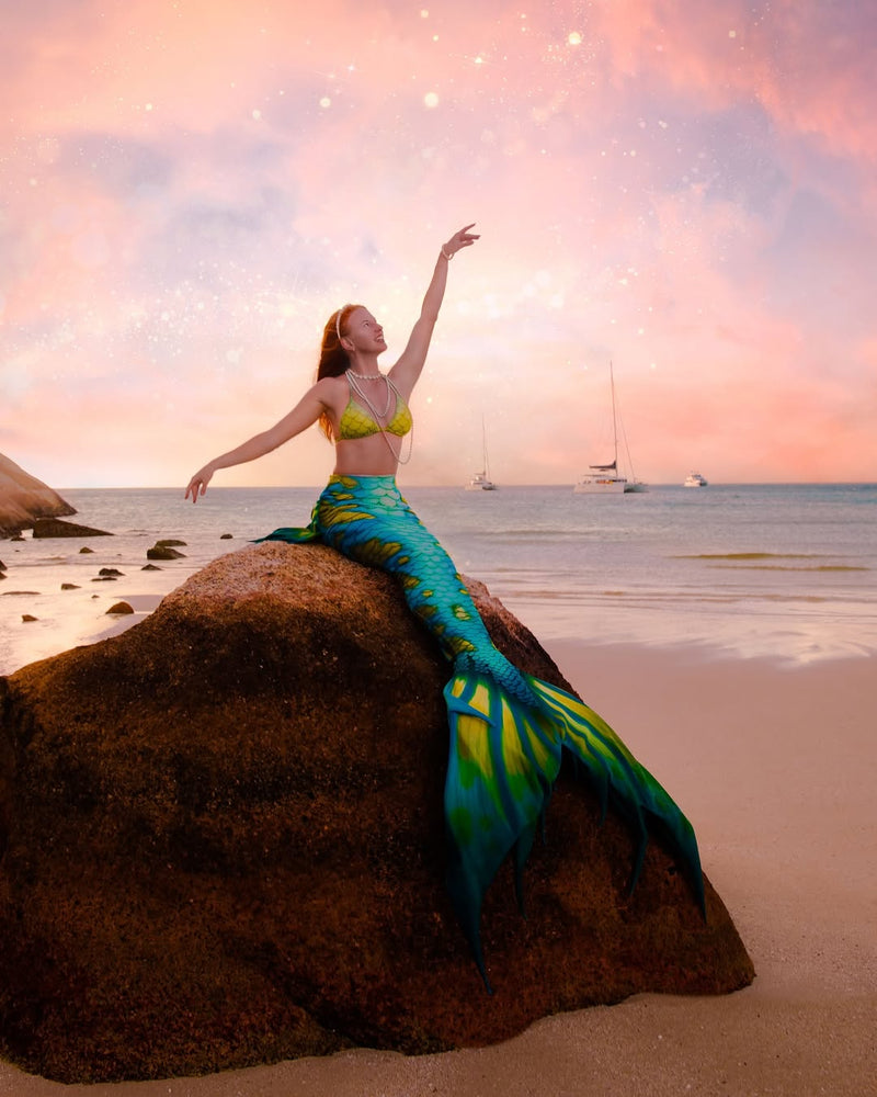 Professional creators