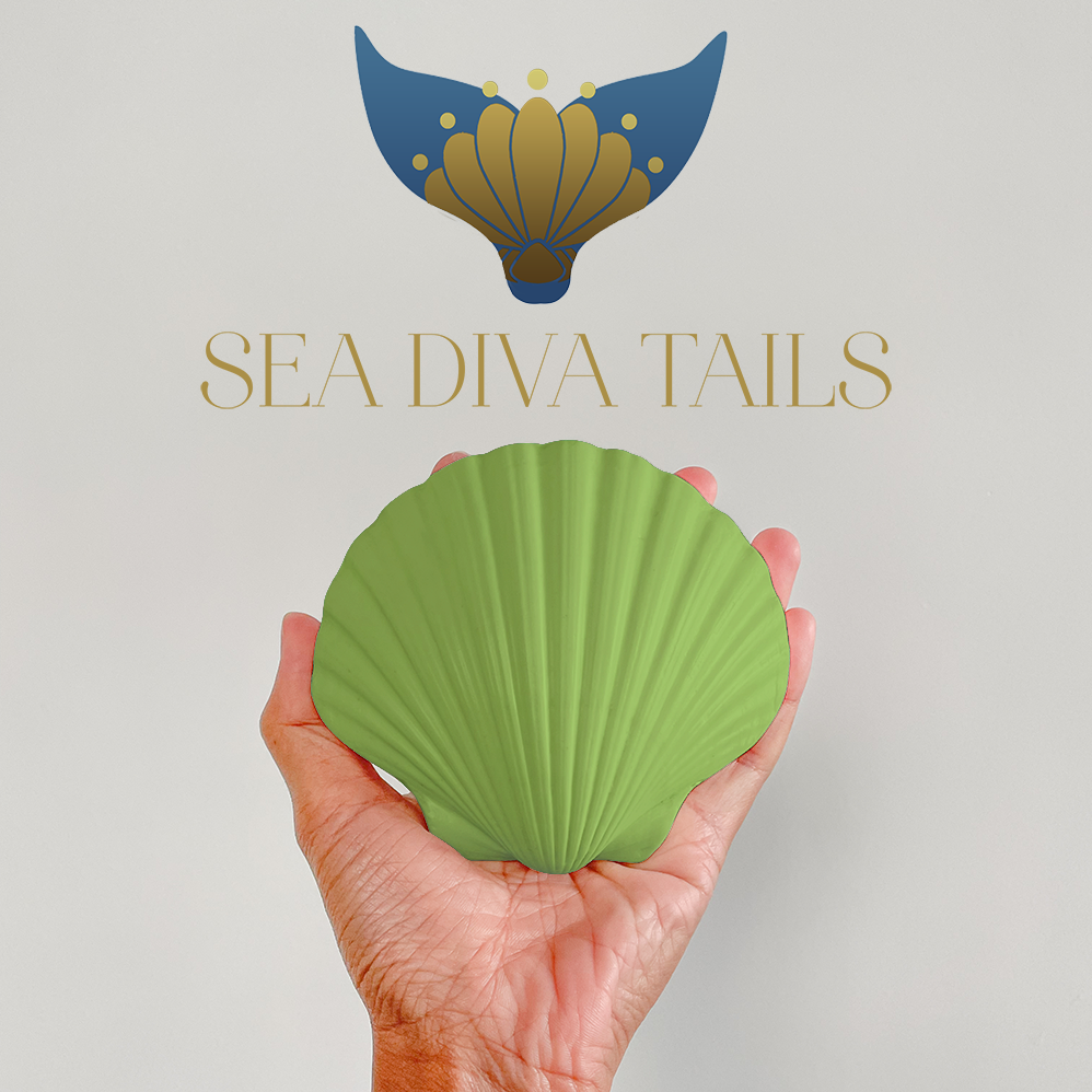 Shell Dive Weight 0.5kg / 1.1 lbs – seadivatails