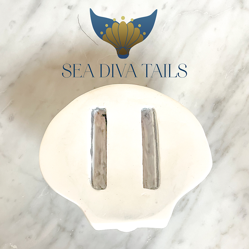 Shell Dive Weight 0.5kg / 1.1 lbs – seadivatails