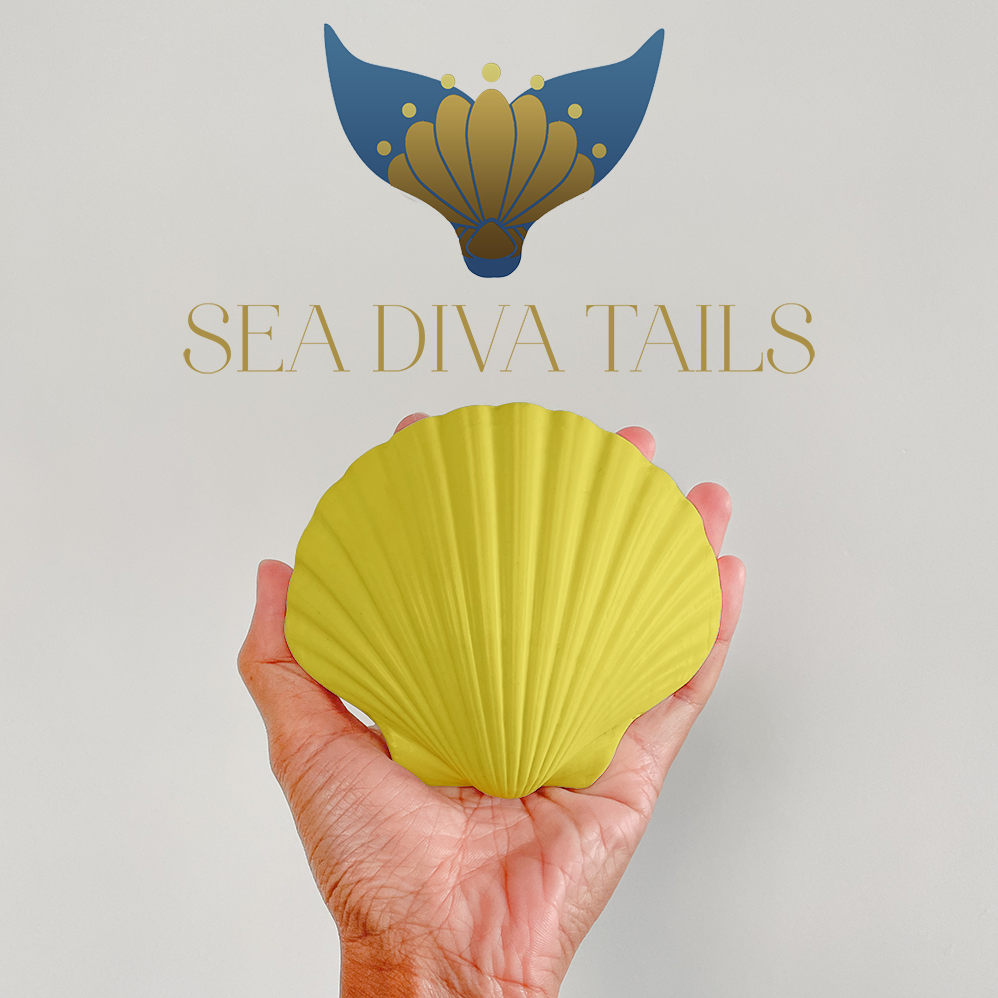 Shell Dive Weight 0.5kg / 1.1 lbs – seadivatails